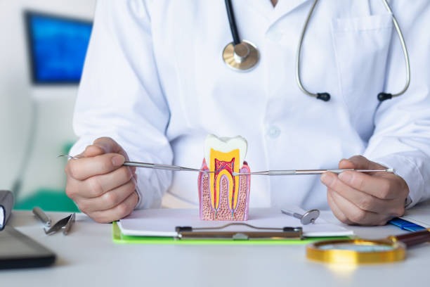Best Emergency Dental Care for Abscessed Tooth in Ohioville, PA